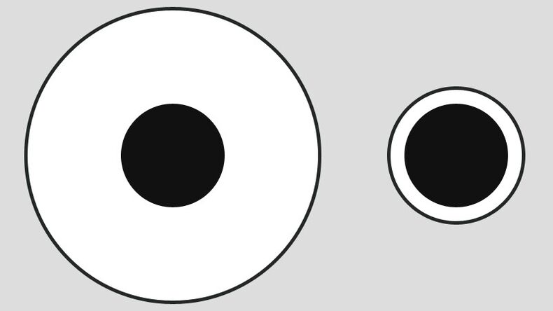 Delbeufs Illusion - unterschiedliche Wahrnehmung der Portionsgröße auf großen und kleinen Tellern