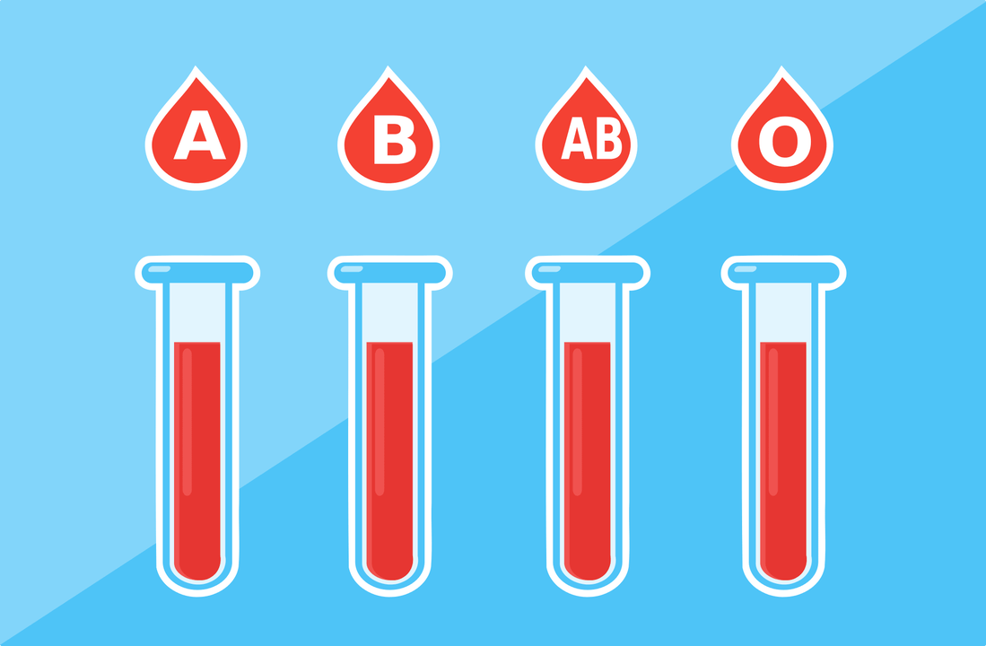 Es gibt 4 Blutgruppen – A, B, AB, O